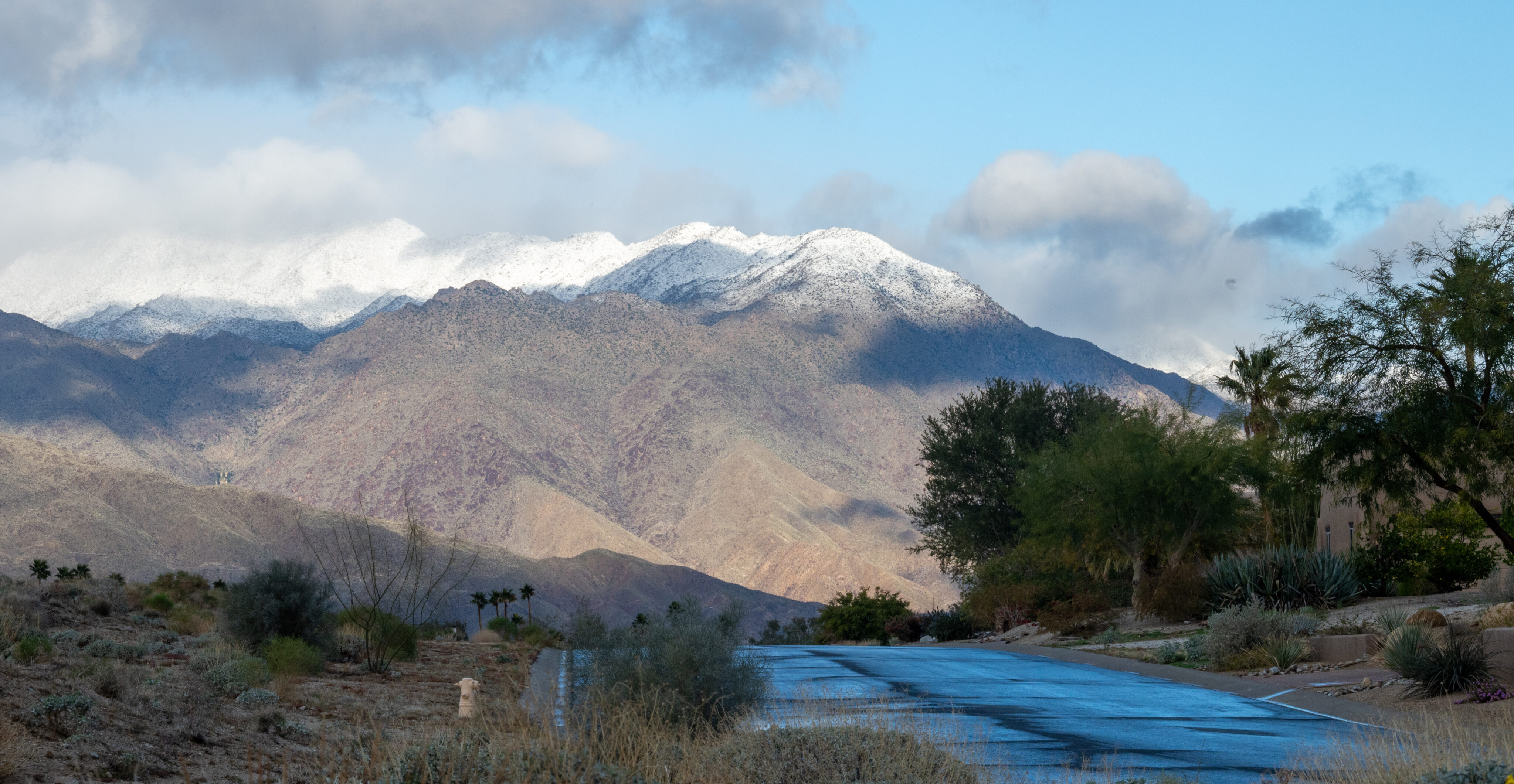 Snow on the Santa Rosa mountains north of Borrego.